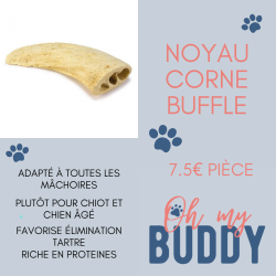 Noyau corne de buffle