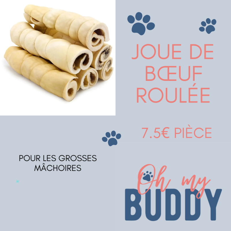 Joue de bœuf roulée