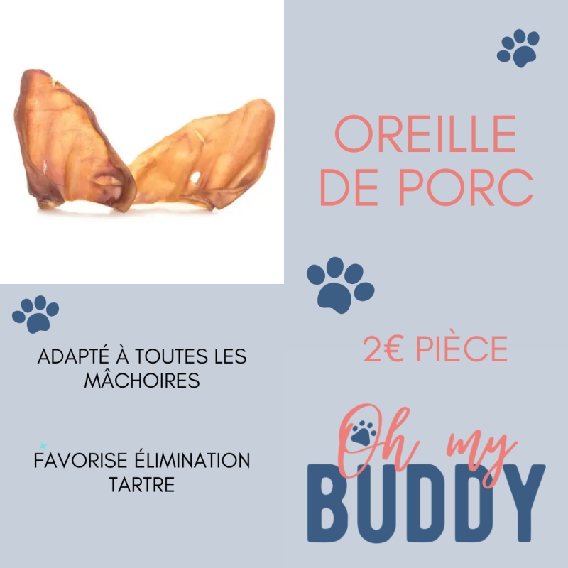 Oreille de porc
