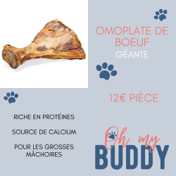 Omoplate géante de bœuf