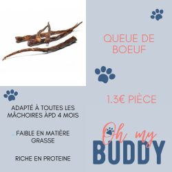 Queue de bœuf