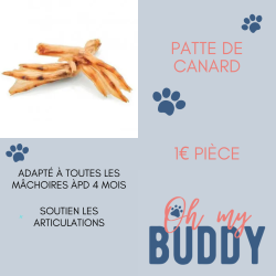 Patte de canard
