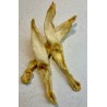 Kopie von Oreille de lapin avec poils