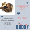 Oreille de bœuf avec poils