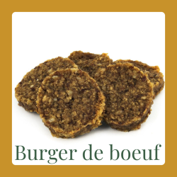 Kopie van Burger de poulet