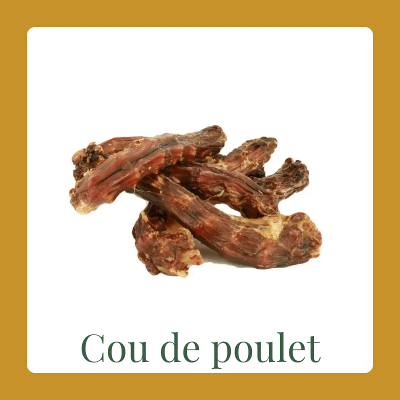 Cou de poulet