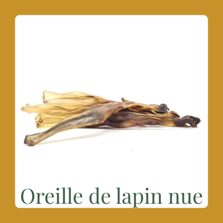 Kopie van Oreille de lapin avec poils
