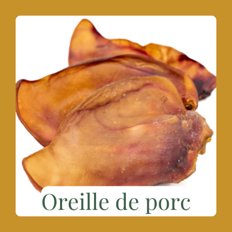 Oreille de porc