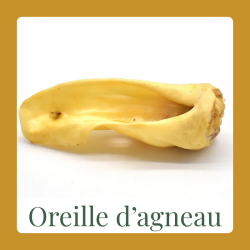 Oreille d'agneau