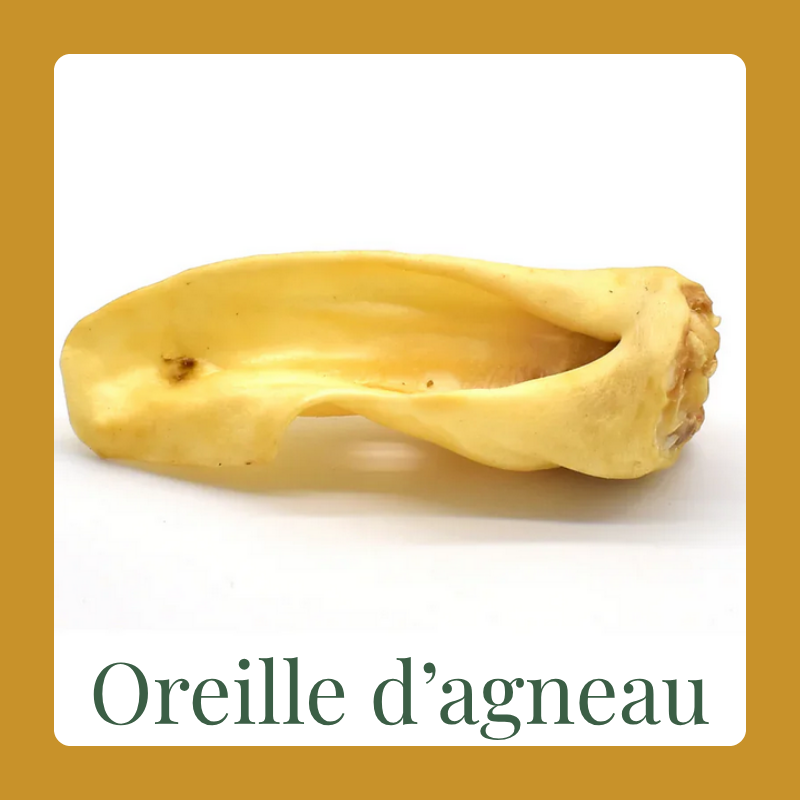Oreille d'agneau