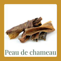 Peau de chameau