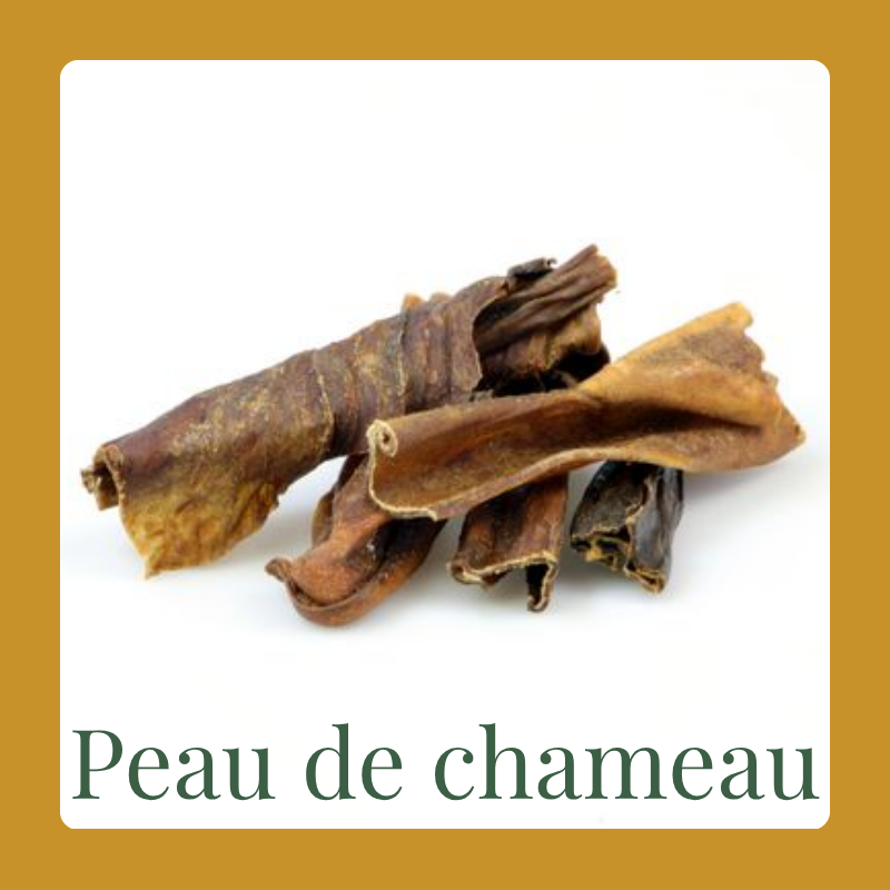 Peau de chameau