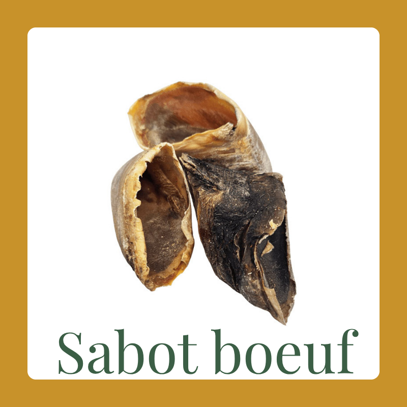 Sabot de bœuf
