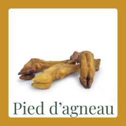 Pied d'agneau