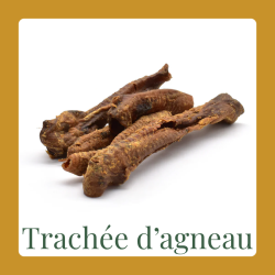Trachée d'agneau