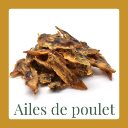 Kopie van Cou de poulet