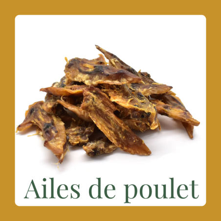 Kopie van Cou de poulet