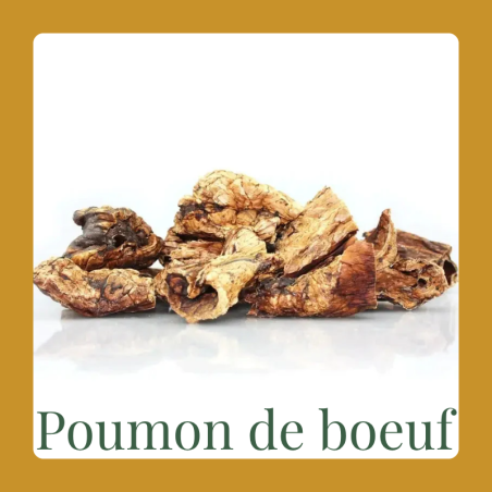 Kopie van Kopie van Queue de bœuf