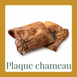 Plaque de chameau