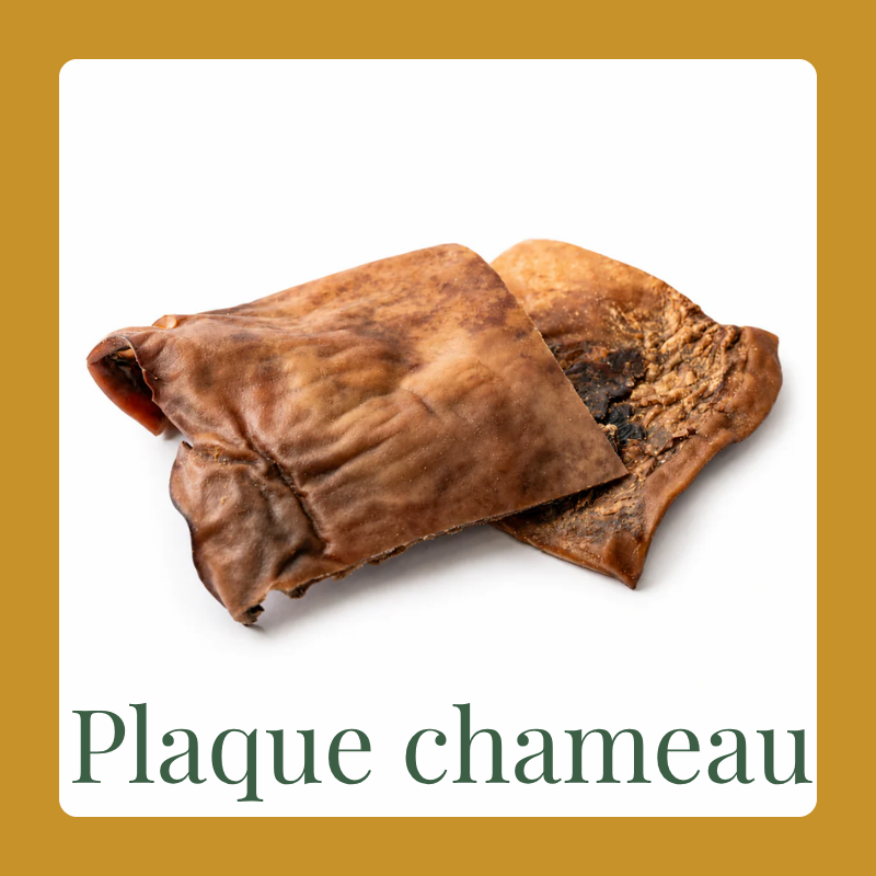 Plaque de chameau