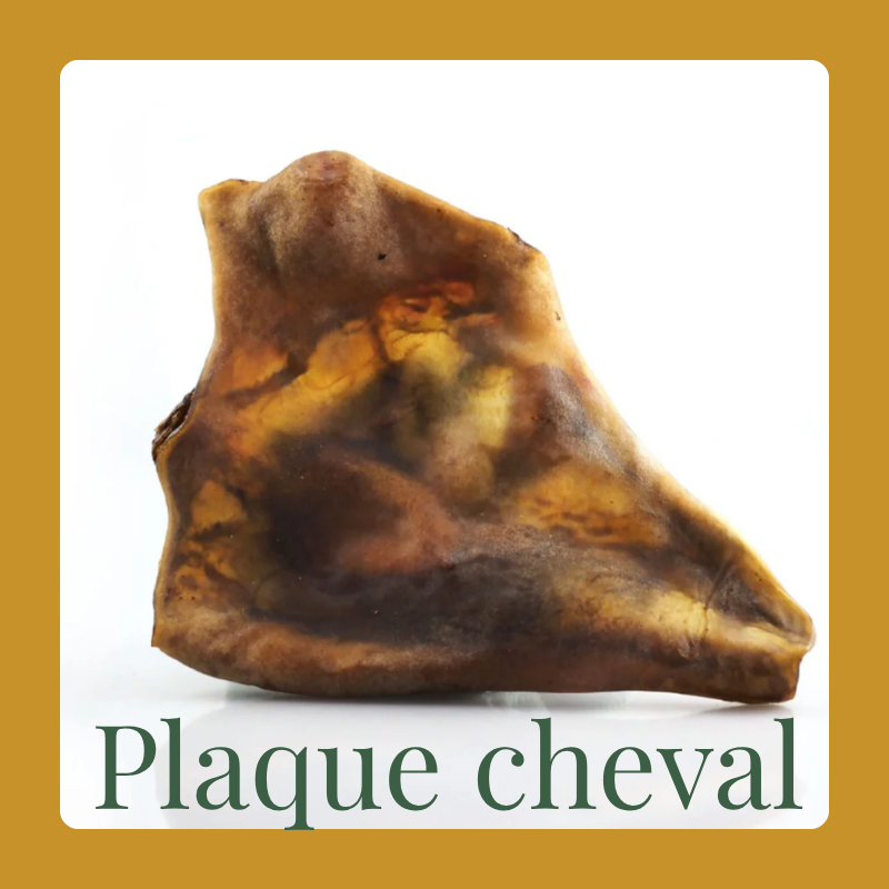 Plaque de cheval