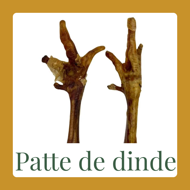 Patte de dinde