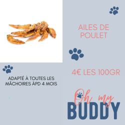 Kopie van Cou de poulet