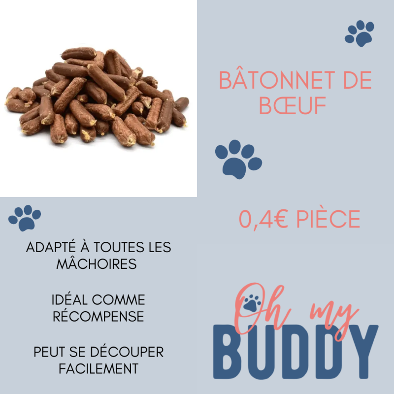 Bâtonnet de bœuf