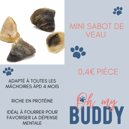 Kopie von Kopie von Kopie von Queue de bœuf